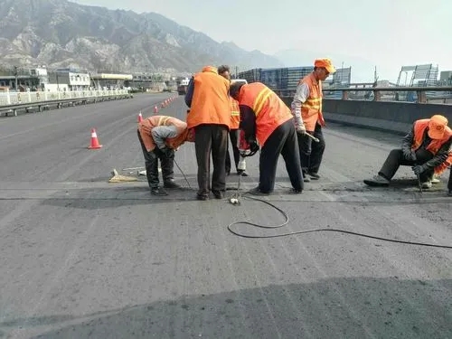 皇姑道路桥梁病害治理